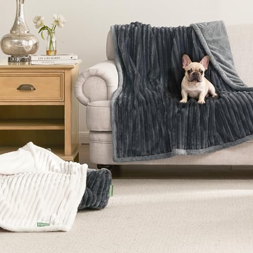 Waterproof Dog Blanket for Couch - Washable Medium Pet Blanket for Furniture Protector, Cozy Fleece Calming Dog Crate Blankets for Indoors & Outdoors, Dark Grey, 40"x50" - color: Grey, size: L(40x50")