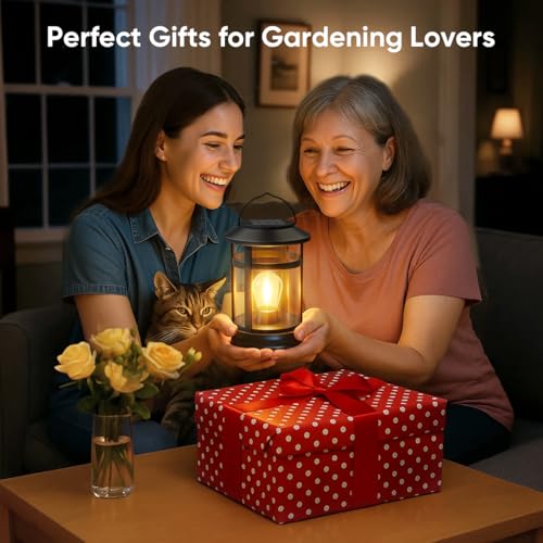 Solar Lanterns Outdoor Waterproof: 1 Pack Hanging Solar Lights for Outside Patio Porch Garden Tabletop Decor - Bright LED Warm White Solar Powered Lighting - Unique Gardening Lovers Mom Gifts - size: 1 Pack