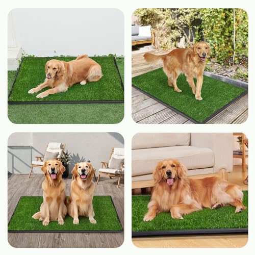 LOOBANI Dog Grass Pad with Tray Large - Dog Litter Box Indoor Potty for Apartment and Patio Training, with 2 Packs Grass Pee Pads for Replacement(Tray Potty 41 * 26.8inch) - size: Tray Potty 41*26.8inch
