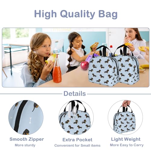 Dachshund Dog Lunch Box,Insulated Lunch Bag for Girls Boys,Reusable Lunch Box for Kids Adults School Student Work Picnic Travel - color: Dachshund Dog