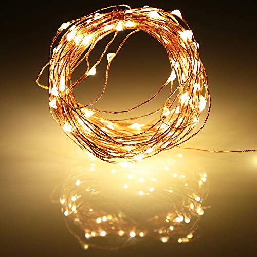 Ariceleo Led Fairy Lights Battery Operated, 2 Packs Mini Battery Powered Copper Wire Starry Fairy Lights for Bedroom, Christmas, Parties, Wedding, Centerpiece, Decoration (5m/16ft Warm White) - color: Warm White, size: 2 Pack