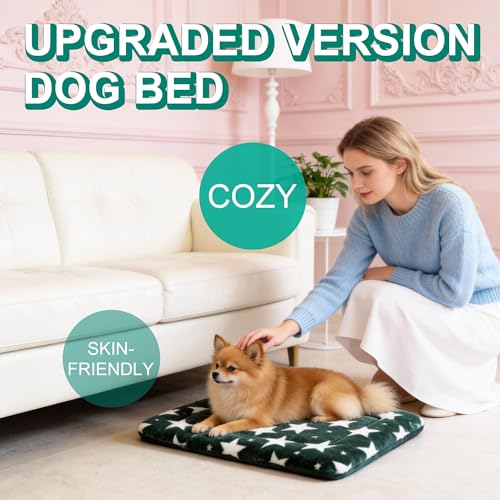 Washable Dog Bed Mat with Anti-Slip Bottom, Deluxe Plush Memory Foam Crate Pad & Waterproof Outdoor Kennel Mat for Dogs & Cats-Durable Crates Beds, Large Medium Small Puppy Size36 x 24",Green - color: Green-Star, size: Upgraded L（36" L x 24" W x 1.5" Th）