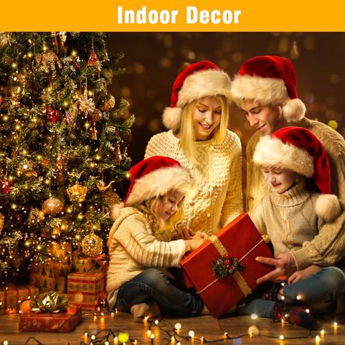 Nisocy 200 LED Christmas Connectable String Lights Outdoor Waterproof – Warm White Fairy Lights with Plug, Tree Lights for Patio, Garden, Bedroom, Wedding, Party, Decor (66FT) - style: 66FT, Warm White