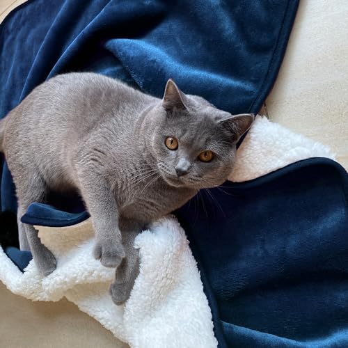 Waterproof Blanket for Bed Couch Sofa, Soft Liquid Pee Proof Pet Blanket for Dog Puppy Cat, Reversible Sherpa Fleece Furniture Protector (Navy Blue, 30x40 inches) - color: Navy Blue, size: 30x40 inches