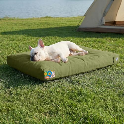 Sytopia 30 Inch Canvas Outdoor Dog Bed for Medium Dogs, Durable Dog Bed with Waterproof Machine Washable Removable Cover, Indoor Patio Pet Pad for Crate, Green - color: Green, size: Medium