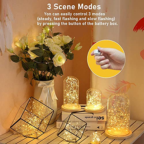 24 Pack Fairy Lights Battery Operated [3 Modes] 7ft 20 LED Mini Twinkle String Lights Waterproof Silver Wire Firefly Starry Lights for Wedding Party Mason Jars Christmas Decor, Warm White & Cool White - color: Warm White + Cool White