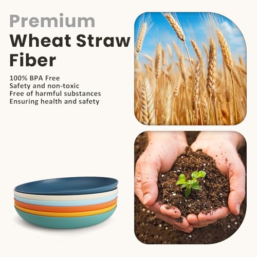 Homienly Deep Dessert Plates, Wheat Straw Plate Set of 6, Alternative to Plastic Plates Reusbale, Dishwasher and Microwave Safe Plates for Kitchen, Unbreakable Plate for Cake, Sncak (8 Inch, Multi) - color: 6 PCS Multi color, size: 8 IN