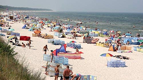 13 ft Beach Windscreen Privacy Wind Blocker + Free Bag and Mallet Made in Europe