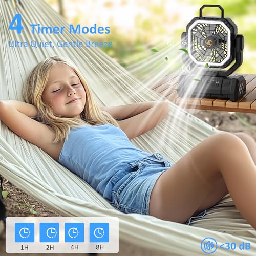 Portable Fan Rechargeable, 20000mAh Cordless Battery Powered Camping Fan with LED Light & Remote, 4 Speeds Wind, Timer, USB C, Hanging Hook, Oscillating Fans for Travel Tent, Camping Essentials - color: Black