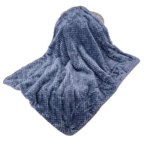 DG Plush Fleece Receiving Blanket for Dog, Cat, Pet - Warm & Soft, Couch, Sofa, Travel & Outdoor, Camping (24" x 32"), Smoked Blue - color: Dg-smoked Blue, size: Blanket (24" x 32")