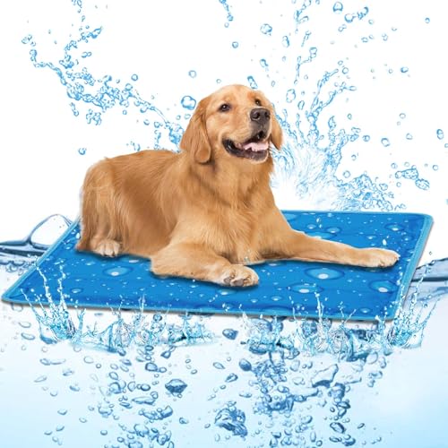 Dog Cooling Mat Water Injection Pet Cool Pads Dogs & Cats Pet Cooling Blanket for Outdoor Car Seats Beds (Blue, 24 * 18IN) - color: Blue, size: 24*18IN
