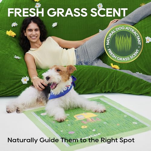 HoneyCare Fresh Grass Print/Scent All Absorb XL Training Pads, 26x30, 40 Ct - size: Extra Large