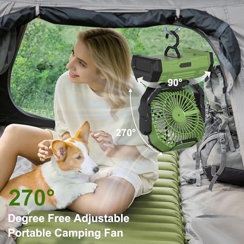 Honesorn Portable Rechargeable Fan 20000mAh, Camping Fan with LED Light & Remote, USB C Cordless Battery Powered, 4 Speeds Timer Hanging Hook for Travel Tent Outdoor Essentials - Green - color: Green
