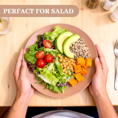 12-Pack 9.8 Inch Plastic Dinner Plates Reusable, Lightweight Unbreakable Plastic Salad plates Daily Use Microwave & Dishwasher Safe Plates Plastic Party Plates Outdoor food Fruit (Brown) - color: Brown, size: 9.8 Inch