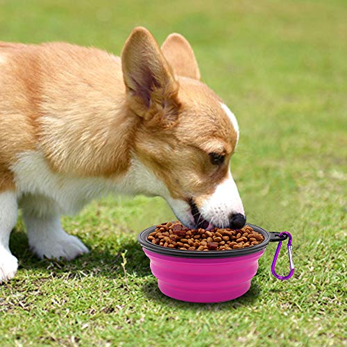 Dog Bowl Pet Collapsible Bowls, 2 Pack Collapsible Dog Water Bowls for Cats Dogs, Portable Pet Feeding Watering Dish for Walking Parking Traveling with 2 Carabiners (Small, Green+Purple) - color: Green+Purple, size: Small