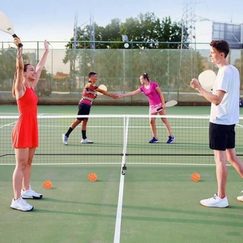 Portable Pickleball Net System, Pickle Ball Set with Wheels for Driveway, Indoor Steady Pickleball Stand with Carrying Bag for Backyards Outdoor, 22 FT USAPA Regulation Size