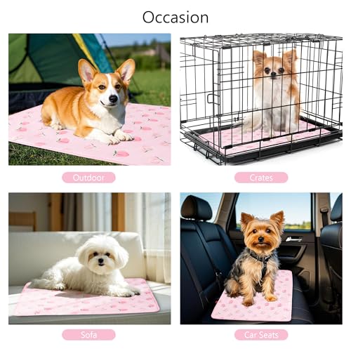 DELIFUR Dog Cooling Mat- Pet Cooling Mat Outdoor for Dogs Ice Pad for Puppy Small Medium Dog Machine Washable (Large, Pink Peach) - color: Pink Peach, size: L: 38.5" x 27.5"