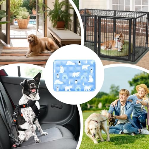Dog Cooling Pad - Gel Cooling Pet Pad | Pressure Activated Chill Crate Mat | 60x50cm Polar Blue + Ice Bear Design | Waterproof Polyester & Polymer Gel | for Travel Car Seat & Sofa - color: B