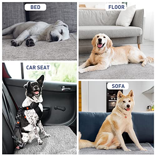 Kritter Planet Waterproof Dog Blanket, Reversible Water Proof Pet Blanket for Couch, Bed & Sofa, Washable Couch Covers for Large Dogs - Protects Furniture from Fur, Dirt, and Accidents - color: Camel/Taupe, size: 60"x50"