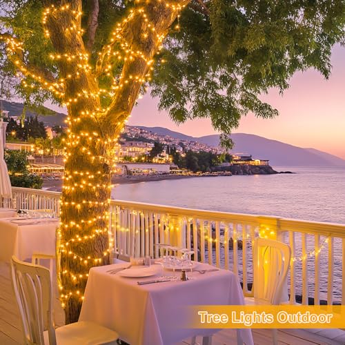JMEXSUSS 1000 LED Warm White Christmas String Lights with Remote, 8 Modes Plug-in for Indoor Outdoor Bedroom Garden Yards Thanksgiving Party Holiday Wedding Decor - color: Warm White, size: 1000 LED
