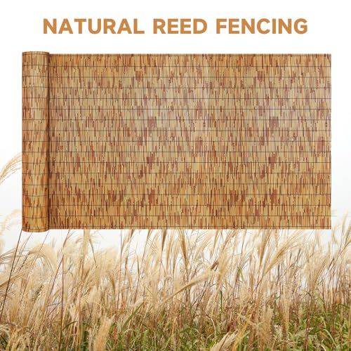 ZNCMRR Reed Fencing Rolls Fencing 4ft High Roll Reed Screen for Balcony Patio Garden Backyard 4FT X 16.4FT Privacy Fence（Brown） - color: 4X16.4 FT Brown, size: 4X16.4 FT