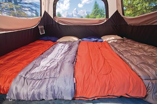 Coleman 4/6/8/10 Person Instant Camping Tent with 1-Minute Setup, Large Family Tent with Pre-Attached Poles, Air Vent, & Carry Bag, Sets Up in About 60 Seconds - size: Pfas-free, style: 6-person