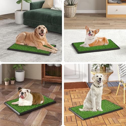 30"x20" Dog Grass Pad with Tray Large for Indoor Puppy PottyTraining with 3PCS Artificial Grass Mats, 1 Washable Pee Pad, Pet Loo Dog Litter Box for Balcony Apartment, 4-Layer System - size: L 30x20x2.8IN-3 Grass Pads