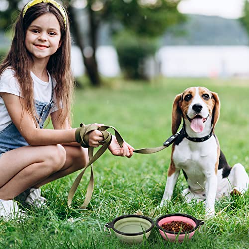 Dog Bowl Pet Collapsible Bowls, 2 Pack Collapsible Dog Water Bowls for Cats Dogs, Portable Pet Feeding Watering Dish for Walking Parking Traveling with 2 Carabiners (Small, Fairy Pink+Sprout Green) - color: Fairy Pink+Sprout Green, size: Small