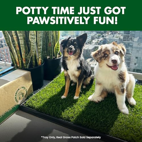 Fresh Patch Plastic Tray for XL Real Grass Pee and Potty Training Pads for Large Dogs and Multi-Dog Households – 4 ft x 2 ft Multi-Purpose and Reusable Crate Tray for Indoor and Outdoor Use