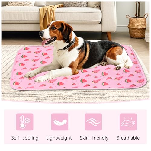 DELIFUR Cat Cooling Mat- Pet Cooling Mat Outdoor for Dogs Ice Pad for Kitten Cat Puppy Machine Washable (Medium, Pink Watermelon) - color: Pink Watermelon, size: M: 27.5" x 19.5"