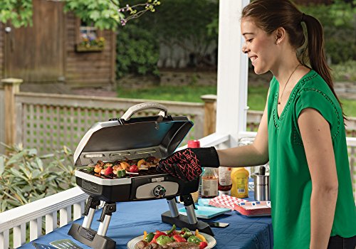 Cuisinart Petite Gourmet Portable Gas Grill, Compact Portable Grill Propane, 150 Sq. In. Cooking Surface, 5,500 BTU Burner Small Gas Grills for Camping, BBQ, Folding Legs and Carry Handles, Stainless - color: Petit Gourmet Tabletop Gas Grill, Stainless St