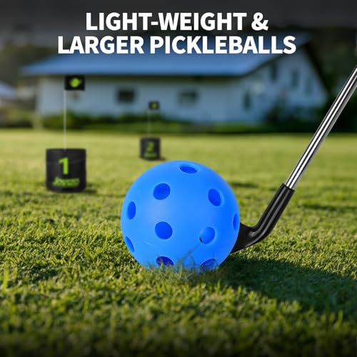 Backyard Golf Game Set, 6 Hole Portable Golf Yard Game with Flags, Balls, Club and Scoreboard, Outdoor & Indoor Lawn Practice Game for Family and Friends - style: 6 Holes