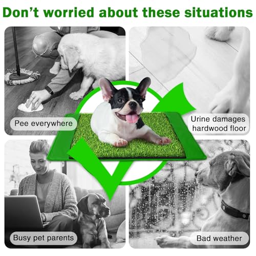 Annexfun Dog Grass Mat with Pee Pad 20×25", Small Dog Litter Box Indoor Artificial Turf Grass Porch Waterproof Patio Potty Tray for Doggie Reusable Washable and Lawn for Replacement Puppy Training PCS