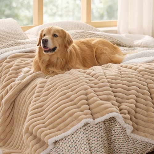 Bedsure ComfyFleece™ Waterproof Dog Blankets for Large Dogs - Soft Pet Cat Blanket Corduroy Fleece for Bed Protector Washable, Cozy Calming Reversible Furniture Protection,60"x80", Tuscan Beige - color: Sandy Beige, size: Twin(60x80")-1pc