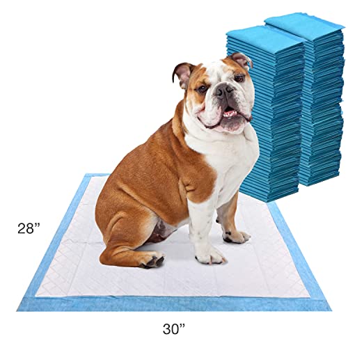 Four Paws Wee-Wee Odor Control with Febreze Freshness Pee Pads for Dogs & Puppies, Leak-Proof Dog Housebreaking Potty Training Floor Protection, Spring Fresh Scent, 22" x 23", 100 Count - size: 22" X 23"