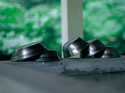 Snow Peak Tableware Set Single - Lightweight, Rust Resistant, and Durable - At Home or Group Camping - size: 4 Pieces (1 Person Set), style: Individual Set