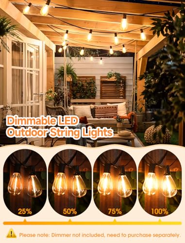 Larkvue 25FT LED Outdoor String Lights, 10+1 Edison S11 Dimmable Bulb Waterproof Patio Lights, Connectable Outside Hanging Strand for Backyard Garden - color: Black