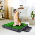 Dog Grass Pad With Tray, 25" x 20" Potty for Puppy Training, Reusable Artificial Pee Pad, Indoor/Outdoor Pet Toilet Loo, 3-Layer System - size: M 25x20x2.4IN-1 Grass Pad