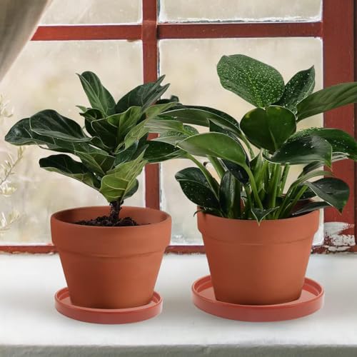 2 Pack Ceramic Plant Saucer Pot Tray 6 Inch Terracotta, Planter Saucers 6 7 8 9 10 11 12 15 Inch, Durable Sturdy Flower Drainage drip Water Tray for Glazed Pots Base (6.4 Inch- Red Terracotta) - color: Terracotta, size: 6.4in 2pack