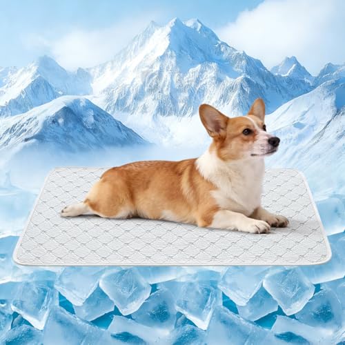 Dog Cooling Mat - Instant 6-12°F Drop, Cooling Mat for Pets Q-MAX >0.5 & Machine Washable, Anti-Slip Bottom, Cool Relief Bed for Dogs & Cats Light Gray 36" x 24" - color: Light Gray, size: L (36" x 24")