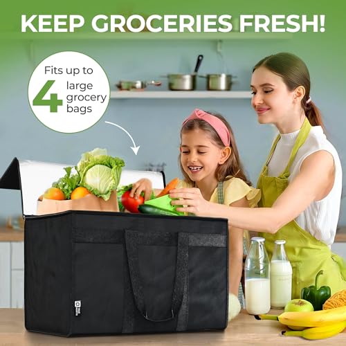 TRUE NORTH Insulated Food Delivery Bag w/Divider - NEW 2026 UPDATE (23"x15"x14") - Uber Eats Food Warmer Bag - Warming Bags For Food - Insulated Delivery Bags For Hot Food, Pizza Delivery Bag
