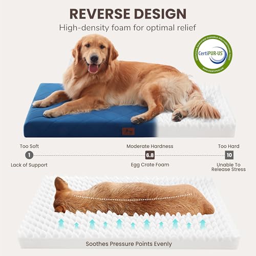 Orthopedic Dog Beds for Medium Dogs, Washable Pet Bed Mat with Removable Cover, Waterproof Egg Crate Foam Puppy Bed Anti Slip, 30" x 20", NOT for Chewers - size: 30"L x 20"W x 3"Th