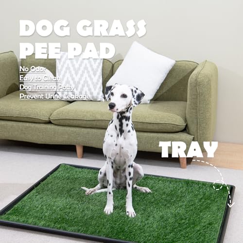 MEEXPAWS Dog Grass Pee Pads for Dogs with Tray | Large 34×23 in | 2× Dog Artificial Grass Pads Replacement| Rapid Drainage | Indoor Litter Box | Hemmed Edge - size: Large - 34 x 23 inch