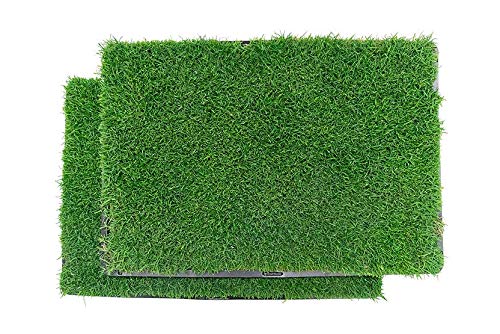 BETHEL Gotta Go Grass - Real Grass Dog Potty Pad with Tray, Indoor/Outdoor Natural Reusable Puppy Pee Pads, Fresh Patch for Puppy Potty Training & Dog Accessories- 2 Pack (16" x 24") - size: 2 Pack, With Tray