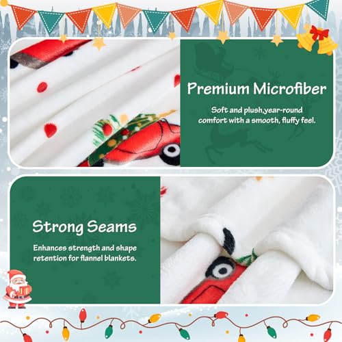 Edenleaf Christmas Blanket - White Holiday Throw with Santa Claus & Snowman - Warm Cozy Fleece Winter Blanket, 60x80 Inches，White - color: 04 Christmas White, size: Blanket-60"x80"