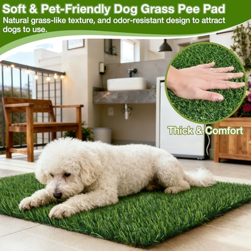 TOOKOO 2 Pack Fake Grass Pee Pad for Dogs Potty Traning - 16"x24" Replacement & Realistic Pet Artificial Grass Patch Turf Indoor Outdoor Use - size: 16inchx24inch - 2 Pack