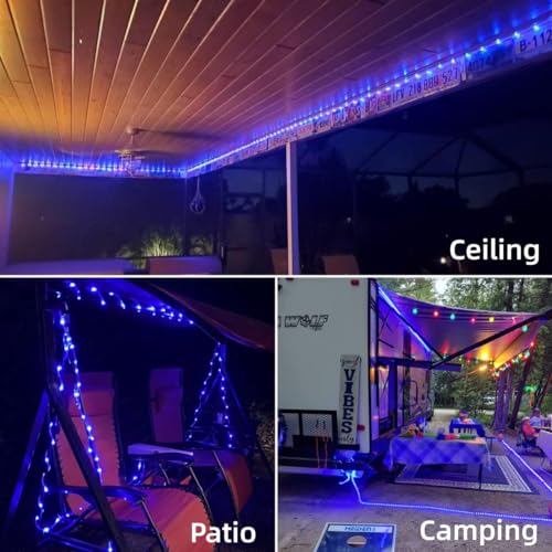 YEGUO Solar Rope Lights Outdoor Waterproof, 66ft 200 LED Blue String Lights, 8 Modes Fairy Lights in Clear Thin Tube - color: Blue