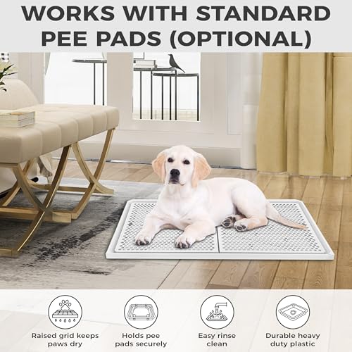 Dog Pee Pad Holder with Raised Mesh Grate – Expandable Indoor Puppy Potty Tray, Heavy Duty Plastic, Keeps Paws Dry, Fits Standard 24x15 Pads – Alpha Dog Series
