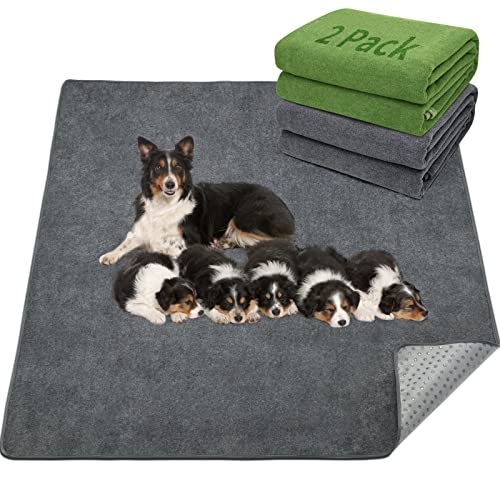 LOOBANI 2 Packs Extra Large Reusable Dog Mat for Floor, Non-Slip Washable Pee Pads for Dogs, Fast Absorbent Pet Whelping Pads, Puppy Playpen Mat for Incontinence, Housebreak, Crate, 72x72in, Mix - size: 72"*72"(Pack of 2) Gray&Green