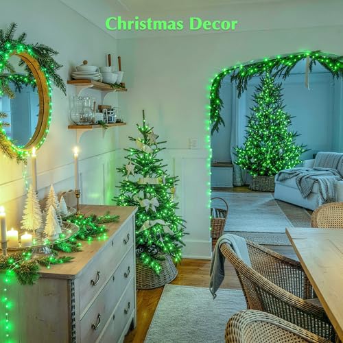 JMEXSUSS 600 LED Green Lights Indoor Outdoor Waterproof, Clear Wire Plug in 168 FT Green Christmas String Lights for Yard Tree Room Garden Halloween Party Xmas Decor, 8 Mode, Remote - color: Green, size: 600 LED